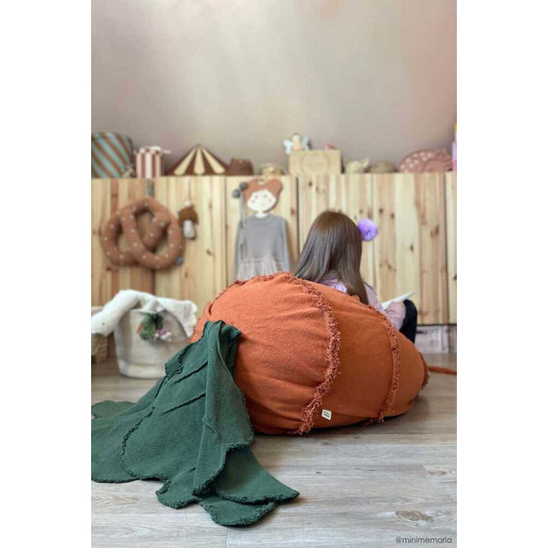 Bean Bag Cathy The Carrot