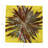 Pheasant Feathers Cotton Sateen Cocktail Napkins-122066309