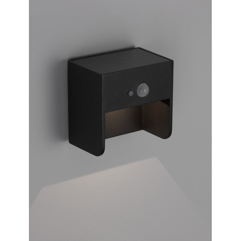 Black Integrated LED Outdoor Flush Mount