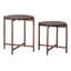 Ensemble de 2 tables gigognes Modern