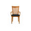 Sarah Upholstered Arm Chair-20804144-20804157