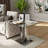 Ameshia Glass Top End Table