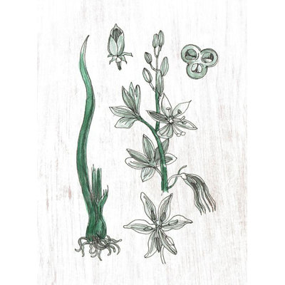 Farmhouse Wall Decor