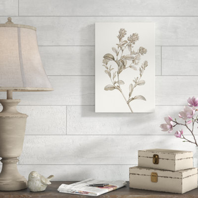 «Neutral Botanical Study II» par Vision Studio, reproduction d'art sur toile