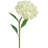 Hydrangea Arrangement-17896838