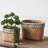 Set of 2 Rectangular Basket Planters with Geometric Trim, L:10.5x8.5x8" S:7.5x5.5x6.5"