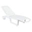 Accomac Outdoor Chaise Lounge