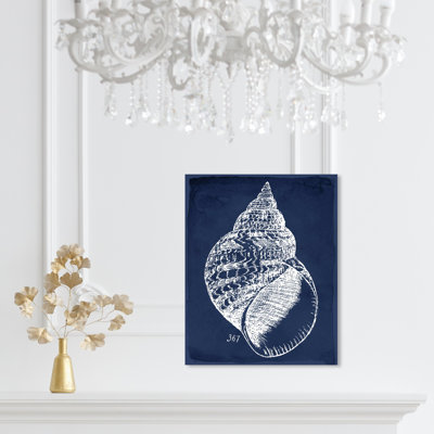 Nautique et côtier, coquillage, marine, marine, vie marine, impression sur toile