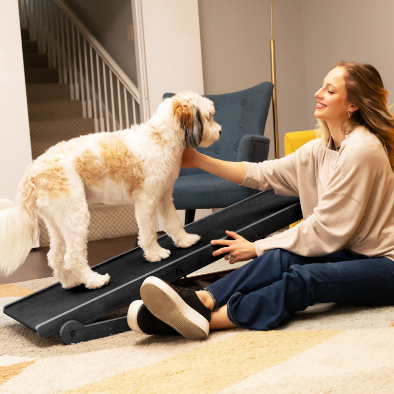 Rampe pour chien pour lit, rampe réglable pour que le chien puisse monter sur le lit, surface en caoutchouc antidérapante