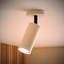 Taylor  Tube Single Adjustable Ceiling Spotlight-1063613040-1063613053