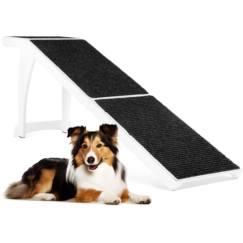 Rampe pour chien pour lit haut