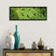 « raindrops on papaye tree leaves, la digue, seychelles », reproduction de photo sur toile-19966465-73552997