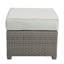 Salena Beige Fabric & Gray All-Weather Wicker Patio Sofa & Ottoman With 2 Toss Pillows