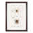 Walnut Framed selected