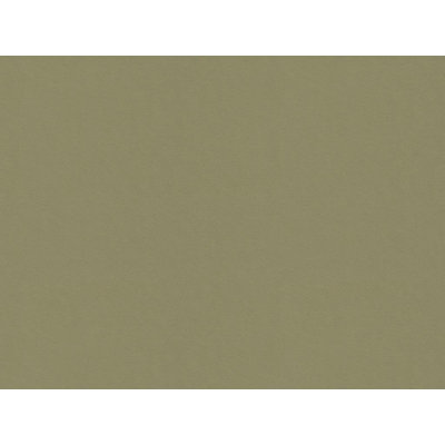 Guaranteed in Stock Fabric