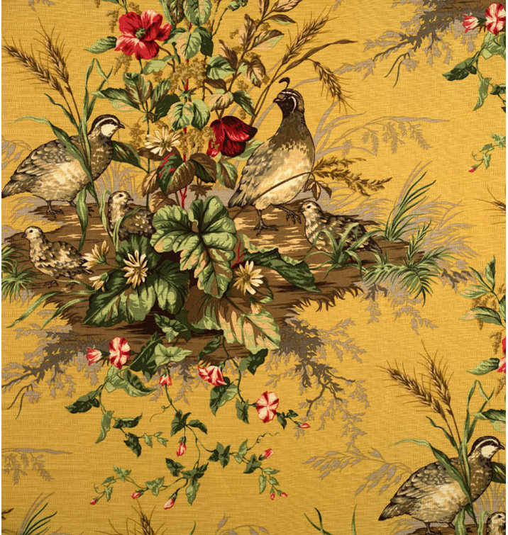 Edwin's Covey Fabric