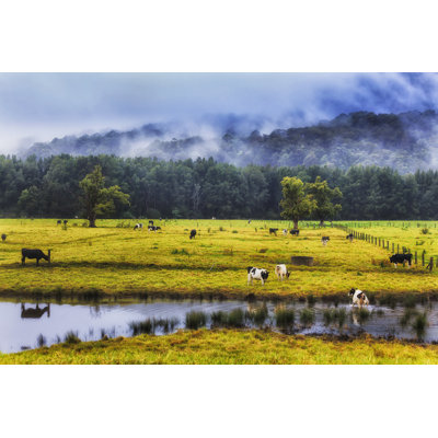 Farm Cows - Wrapped Canvas Print