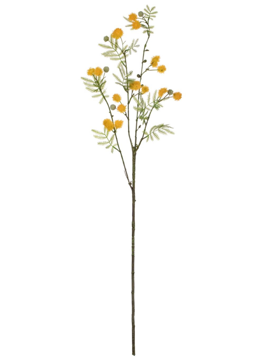 Mimosa Sprays