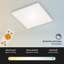 Frameless LED Flush Mount