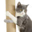 24 cm H Cat Tree / Condo