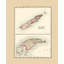 Art sur toile tendue Red Barrel Studio® Walling Gallery, titre: Keweenaw Isle Royale Michigan - Walling 1873 MIKE0002-1673493754
