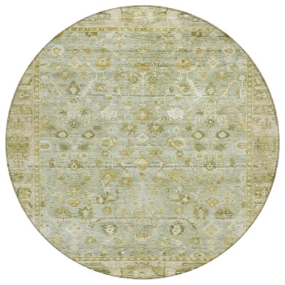 Machine Washable Indoor/Outdoor Xhevrie Sage Rug