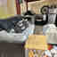 Customer photo 2 of 2