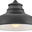 Hinkley Wallace Gooseneck Barn Light-1432915431