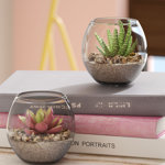 3'' Faux Aloe Plant in Glass Pot