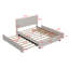 Grand lit de rangement tapissier Nahush