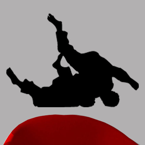 Martial Arts Non-Wall Damaging Wall Decal, 34" H x 48" W