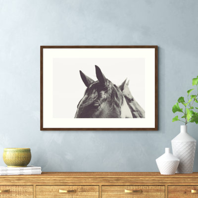 Horse Ears Macro Photo Print