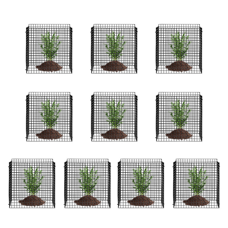 Support pour plante Cadena