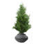 Cement Indoor Cachepot