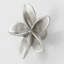 Petits boutons d'armoire Plumeria (ensemble de 2)-126755985-104672780-39948783