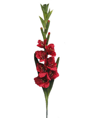 GLADIOLUS SPRAY Arrangement