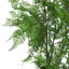 Faux Fern Plant in Pot Liner-1767850430
