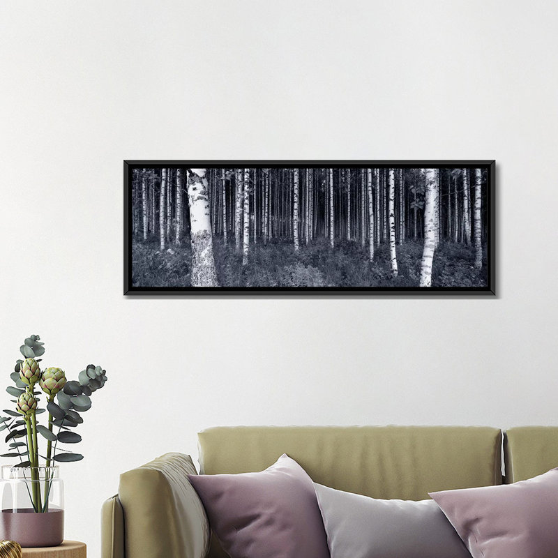 « Panoramic Birch Trees in a Forest, Finland », reproduction de photo sur toile, H 20 po x l 60 po x P 1,5 po