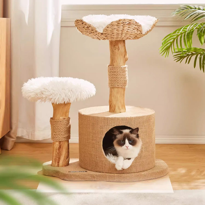 Arbre à chat 2 niveaux avec condons, perchoir, poteaux à griffer