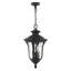 Luminaire suspendu d'extérieur Arelene-1127152988-1106479152