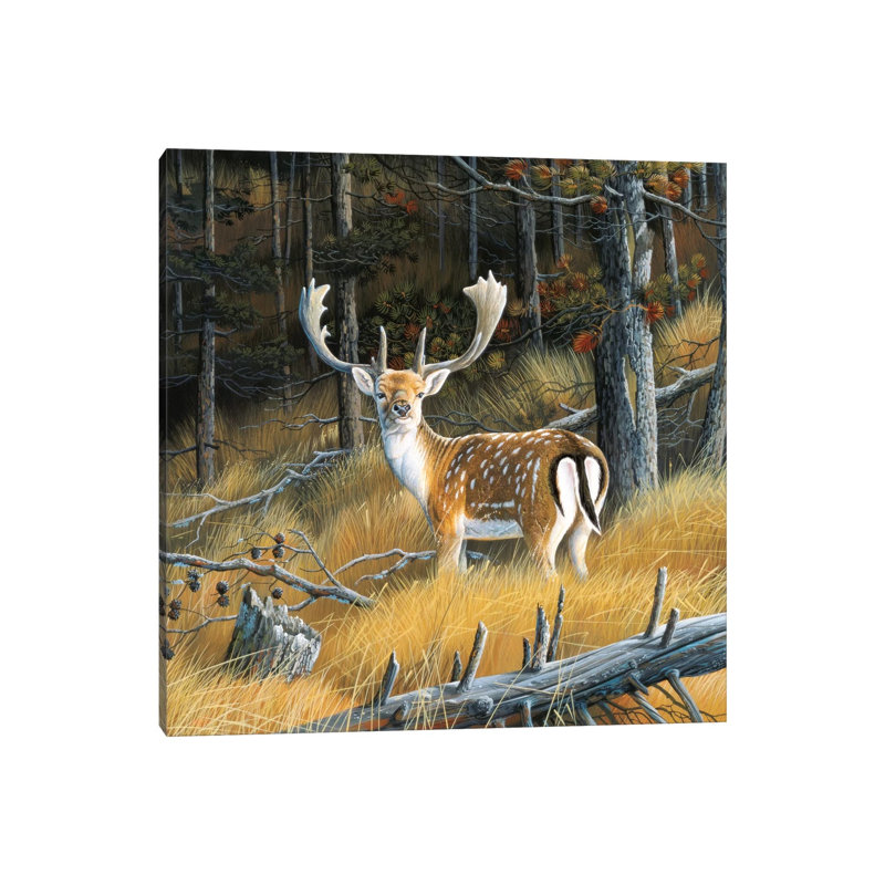 Beautiful Deer 1 Piece Wrapped Canvas Painting, 66.04cm H x 66.04cm W x 1.91cm D