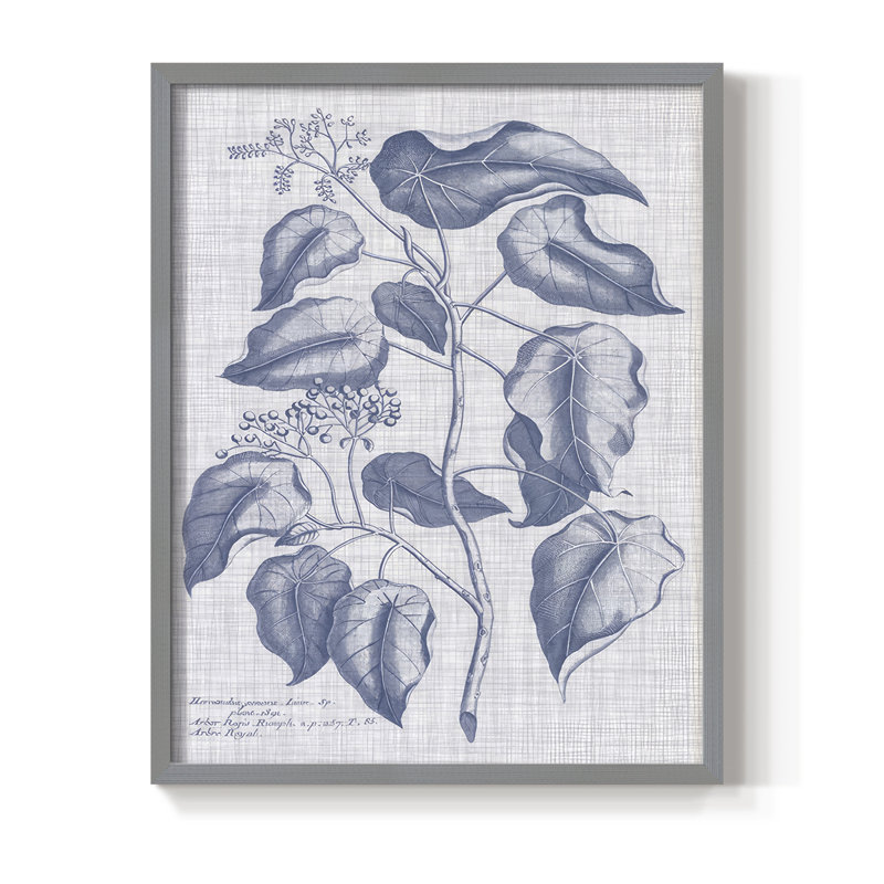 Bleu marine et lin, reproduction botanique encadrée - bois massif, H 30 po x l 24 po, Gris