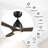 Elimelech 48'' Ceiling Fan with LED Lights
