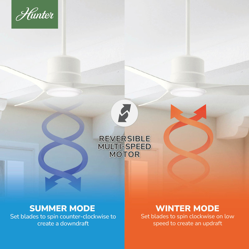 52'' Piston 3 -Blade Outdoor Standard Ceiling Fan with Remote Control and Light Kit Included, White