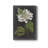" Dramatic White Flowers III "-481499643