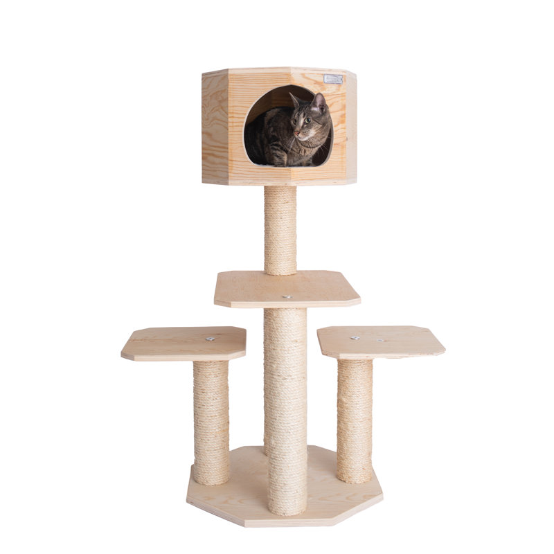 Scots Pine 20" x 20" Outdoor Cat Tree with Sisal Posts