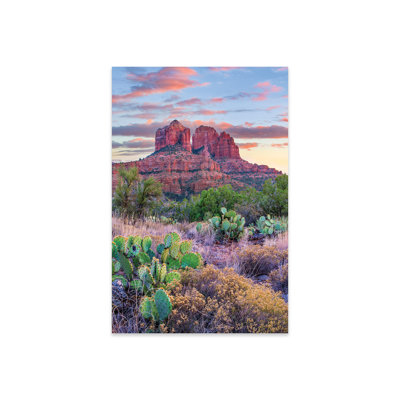 " Opuntia Cacti, Cathedral Rock, Sedona, Arizona " by Tim Fitzharris