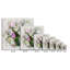 Reproduction sur toile tendue-381912972