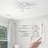 Behrend 44'' Ceiling Fan with LED Lights