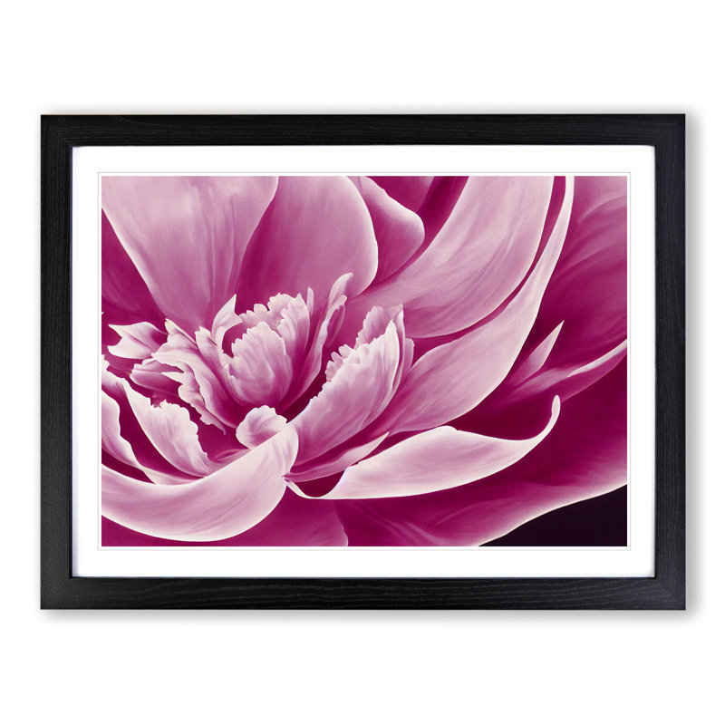 Awesome Peony Flower - Framed Print, Black, 25cm H x 34cm W x 2cm D